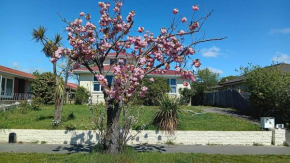 Homestay Family rooms Near city center, Christchurch